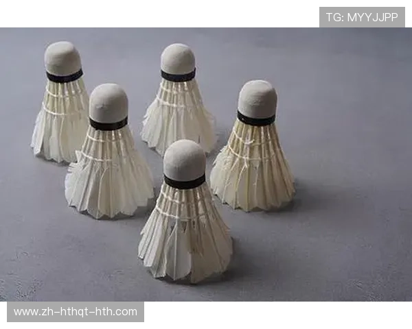 羽毛球竞赛器材